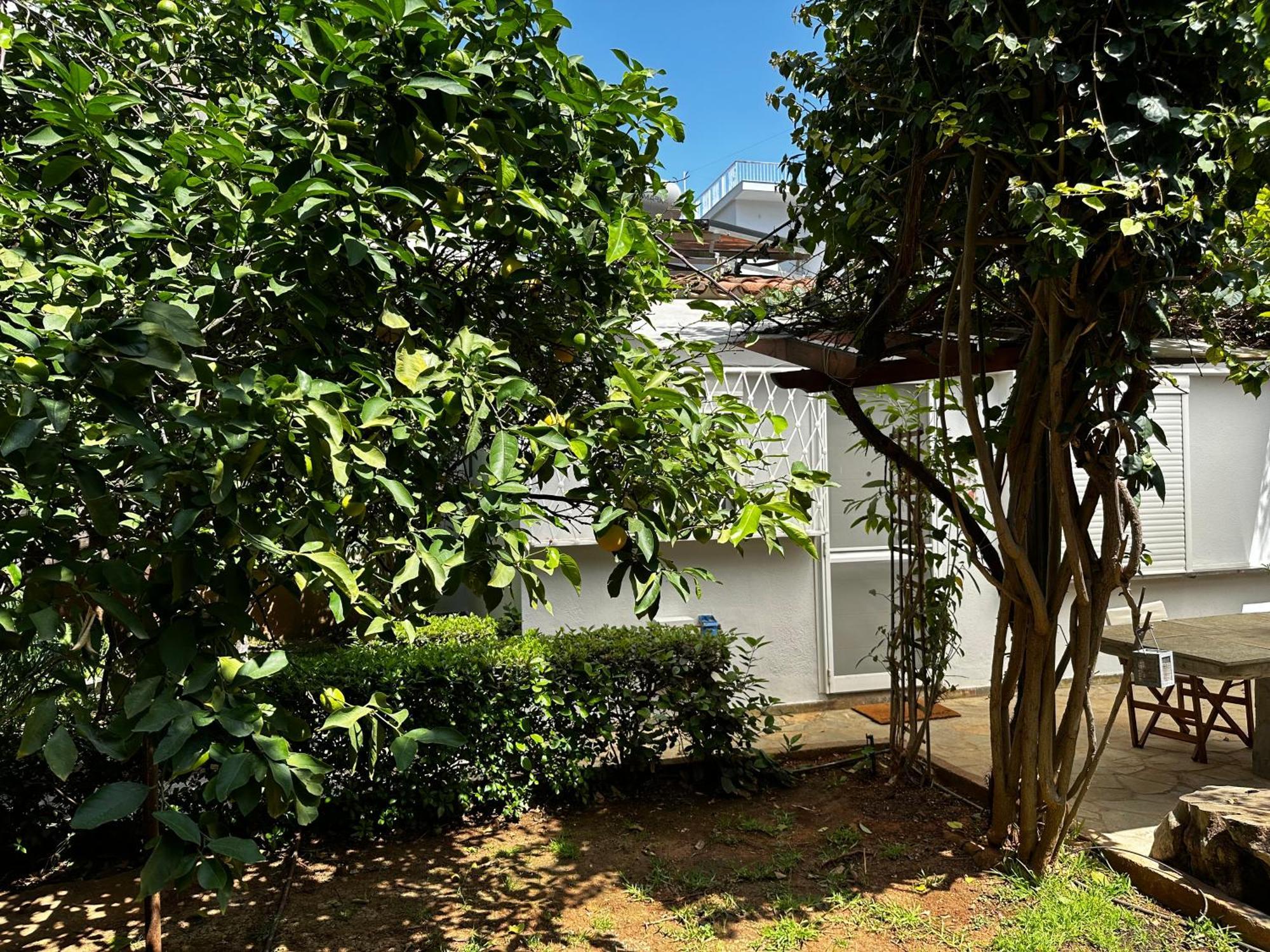Appartamento Antonis'S Garden House Atene Esterno foto
